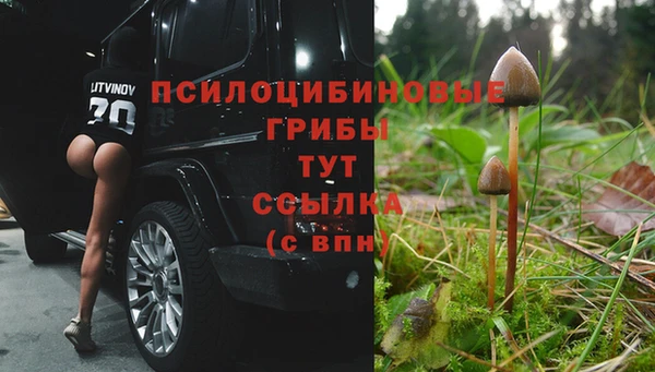 амфетамин Абинск