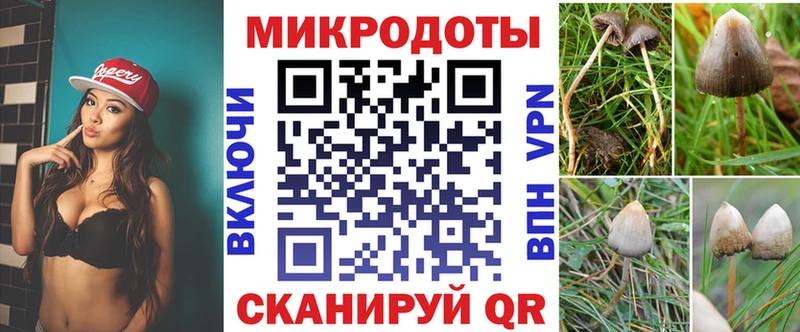 сайты даркнета состав  Иваново  Галлюциногенные грибы Psilocybine cubensis  где найти  